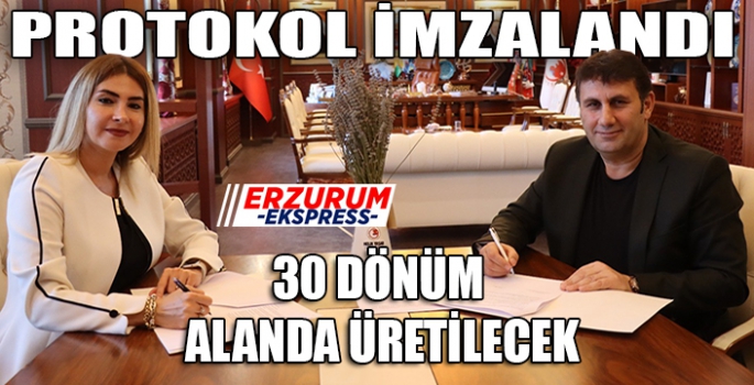 30 DÖNÜM ALANDA ÜRETİLECEK