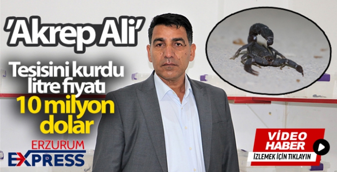 'Akrep Ali' 10 yaşından beri kara akreplerle yaşıyor