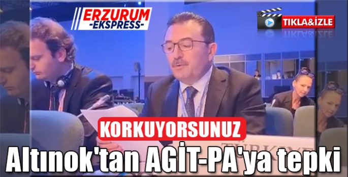 Altınok'tan AGİT-PA'ya tepki. 