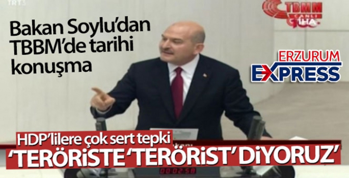 Bakan Soylu: 'Teröriste 'terörist' diyoruz'