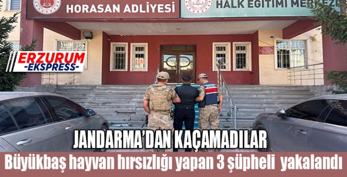 Büyükbaş hayvan hırsızları jandarmadan kaçamadı