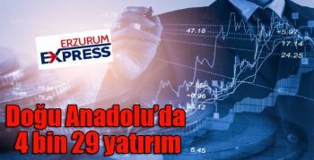 Doğu Anadolu’da 4 bin 29 yatırım