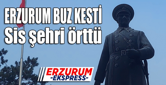 Erzurum buz kesti, sis şehri örttü