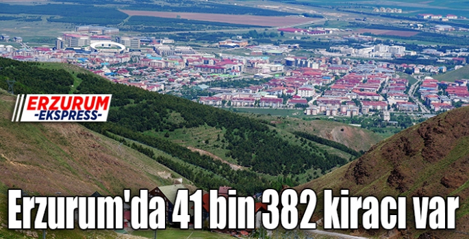 Erzurum'da 41 bin 382 kiracı var