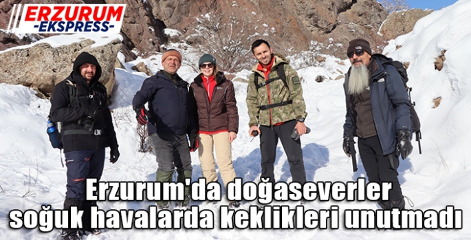  Erzurum'da doğaseverler soğuk havalarda keklikleri unutmadı