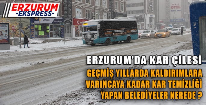 ERZURUM'DA KAR ÇİLESİ