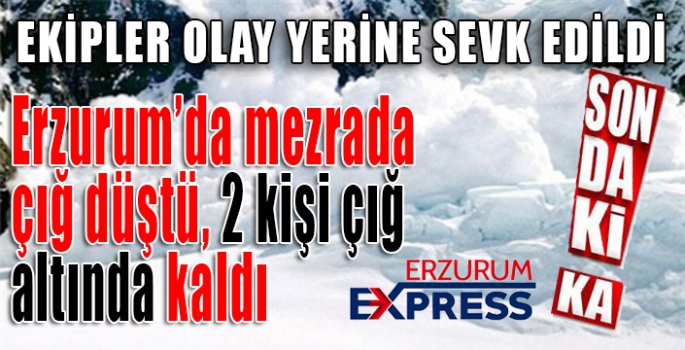 Erzurum’da mezrada çığ düştü, 2 kişi çığ altında kaldı