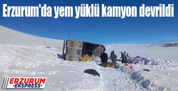 Erzurum'da yem yüklü kamyon devrildi