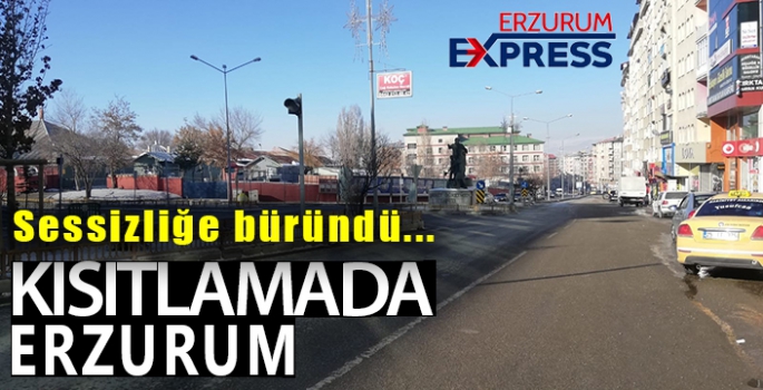  Erzurum'da yılın ilk gününde sokaklar boş kaldı