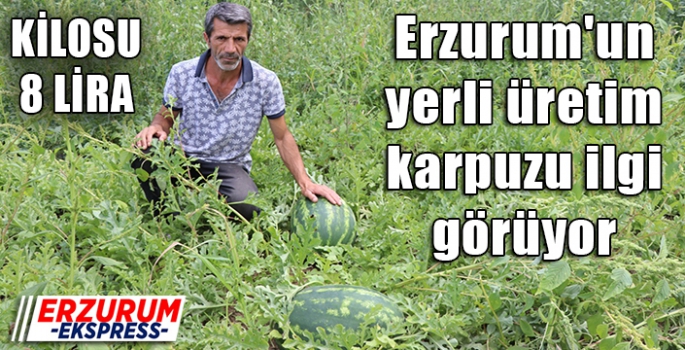 Erzurum'un yerli üretim karpuzu ilgi görüyor