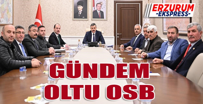 Gündem Oltu OSB 