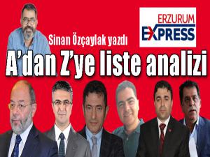 Adan Zye liste analizi