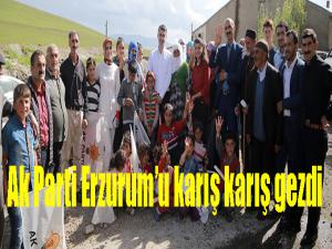 Ak Parti Erzurumu karış karış gezdi