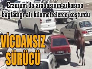 Arabasının arkasına bağladığı atı kilometrelerce koşturdu...