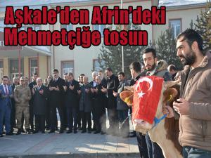 Aşkaleden Afrindeki Mehmetçiğe tosun 