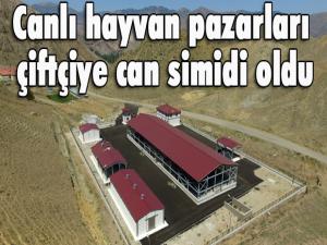 Canlı hayvan pazarları çiftçiye can simidi oldu