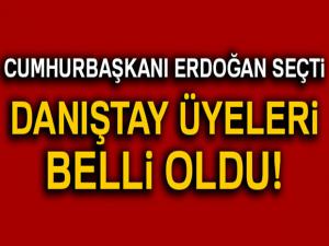 Cumhurbaşkanı Erdoğan Danıştaya 4 üye seçti