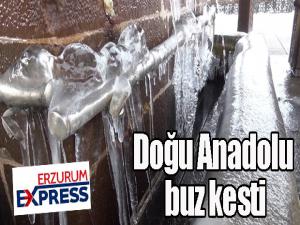 Doğu Anadolu buz kesti: Erzurum, Ağrı ve Kars eksi 20leri gördü