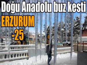 Doğu Anadolu buz kesti: Erzurum eksi 25 