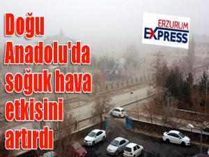 Doğu Anadolu'da soğuk hava etkisini artırdı