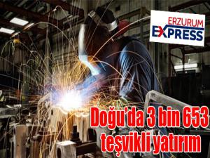  Doğuda 3 bin 653 teşvikli yatırım 