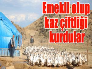 Emekli olup kaz çiftliği kurdular