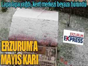 Erzurum'a Mayıs karı...