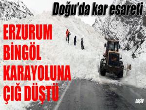 Erzurum-Bingöl karayolu çığ düşmesi sonucu ulaşıma kapandı