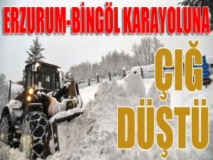 Erzurum-Bingöl karayoluna çığ düştü