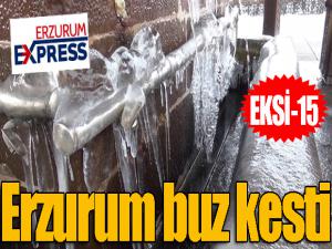 Erzurum buz kesti