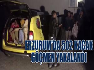 Erzurumda 502 kaçak göçmen yakalandı