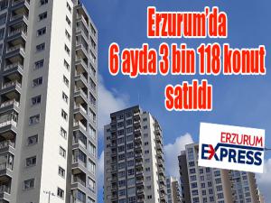 Erzurumda 6 ayda 3 bin 118 konut satıldı