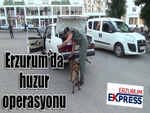 Erzurumda huzur operasyonu 