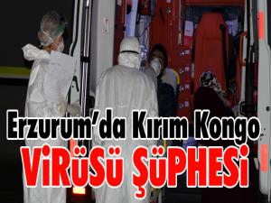 Erzurumda Kırım Kongo virüsü şüphesi