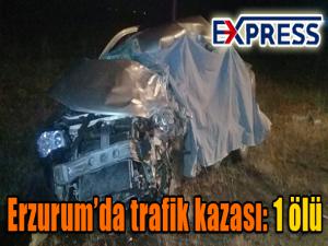 Erzurumda trafik kazası: 1 ölü 