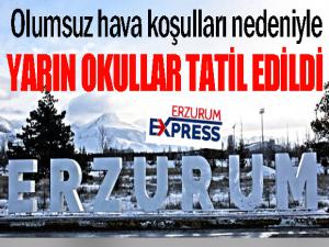 Erzurum'da yarın okullar tatil edildi...