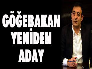 Göğebakan yeniden aday 