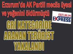 Gri kategoride aranan terörist yakalandı