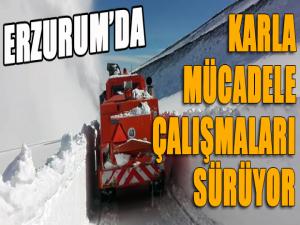 Her yerde bahar, Erzurum'da kar var