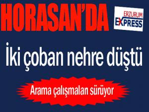 Horasan'da iki çoban nehre düştü