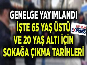 İçişleri Bakanlığı'ndan 65 yaş üstü ve 20 yaş altına ilişkin genelge