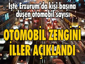 İşte otomobil zengini iller