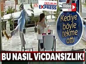 Kediye tekme atan kadın güvenlik kamerasına yakalandı