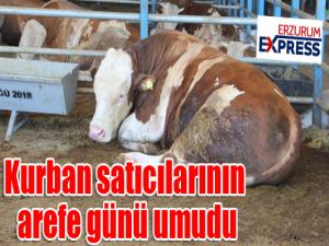 Kurban satıcılarının arefe günü umudu