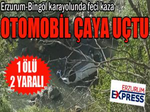 Otomobil çaya uçtu: 1 ölü, 2 yaralı