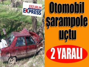 Otomobil şarampole uçtu: 2 yaralı