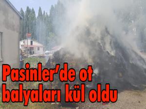 Pasinlerde ot balyaları kül oldu