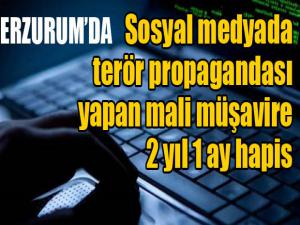 Sosyal medyada terör propagandası yapan mali müşavire 2 yıl 1 ay hapis 