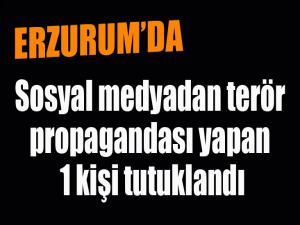 Sosyal medyadan terör propagandası yapan 1 kişi tutuklandı