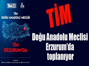 TİM Doğu Anadolu Meclisi Erzurumda toplanıyor